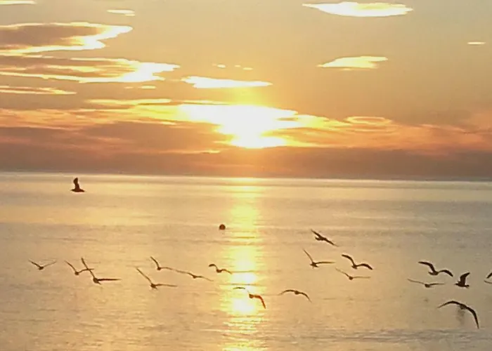 Hnos Navarrete Fuengirola