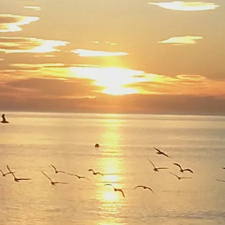 Hnos Navarrete Fuengirola